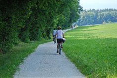 Radfahrer von hinten auf Radweg