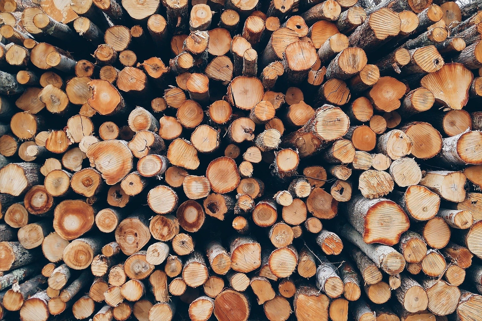 Brennholz Stapel aus Baumstämmen