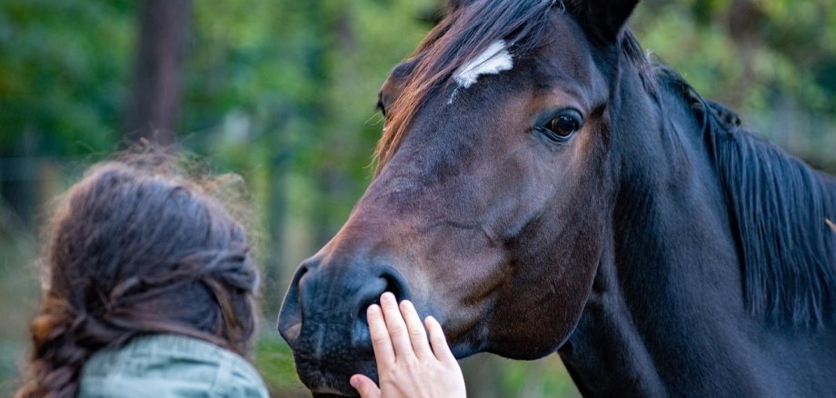 Symbol_Pferd&Mädchen Symbol_Pferd&Mädchen