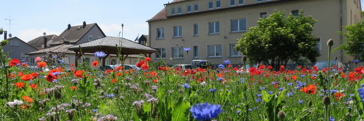 Ansicht des Rathauses von der Ladestraße mit Sommerblumen