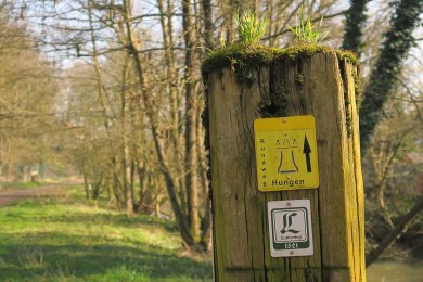 bemooster Holzpfosten mit Wanderwegemarkierungen unter Bäumen am Wegrand