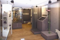 Blick in der Erlebnisraum auf Glasvitrine und rechts mit überlebensgroßer pinkfarbener künstlicher Heide-Nelke