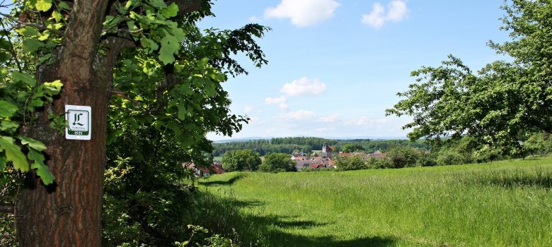 Blick auf Nonneroth, links Eiche mit Markierungsschild Lutherweg