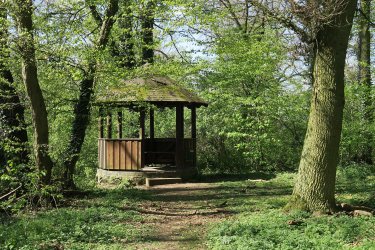 Rastplatz im Wald