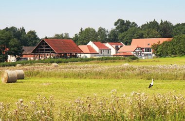 Wirtschaftsgebäude von Hof Grass, davor Wiese mit Storch