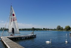 Segelunterweisung am Steg mit drei Schwänen rechts im Wasser