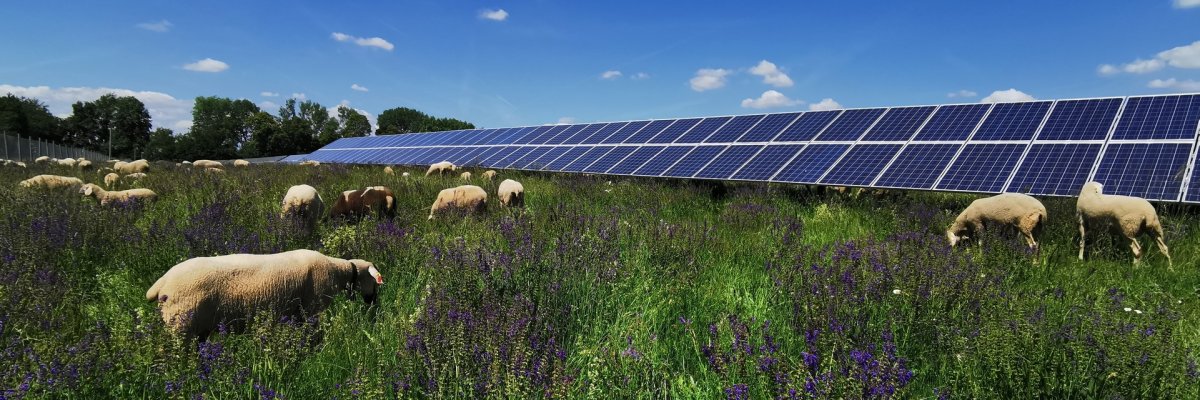 Solarpark in Trais-Horloff von oben