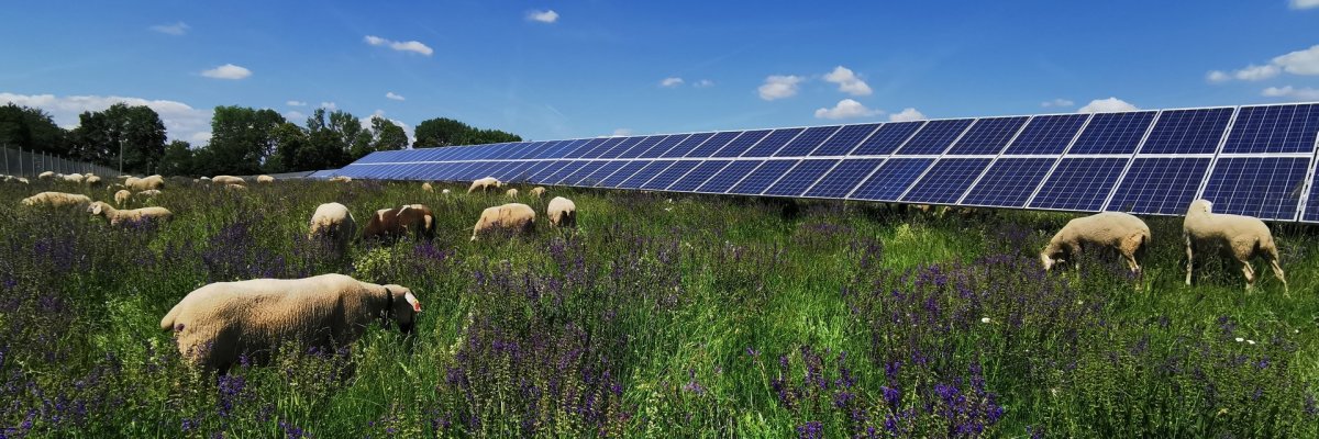 Solarpark Trais-Horloff aus der Luft
