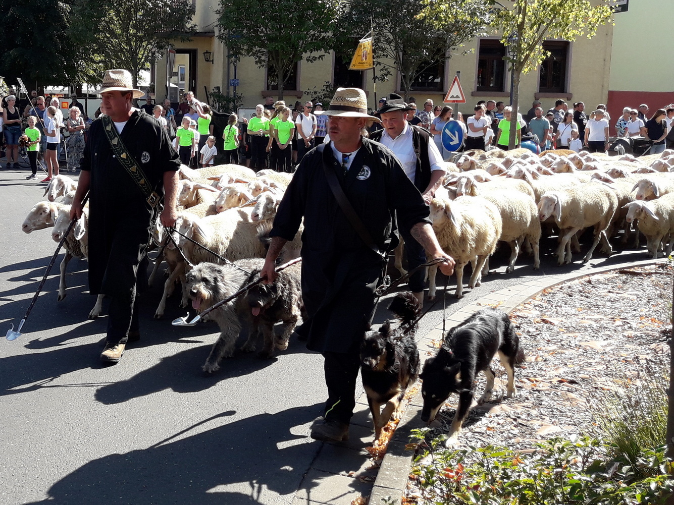 Hessisches Schäferfest_Festzug Hessisches Schäferfest_Festzug