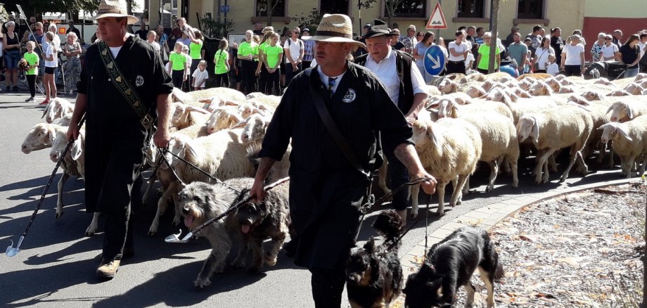 Hessisches Schäferfest_Festzug Hessisches Schäferfest_Festzug