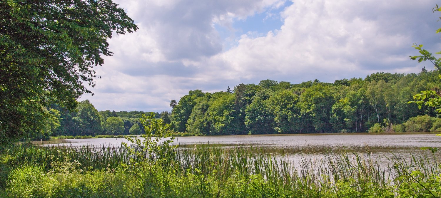 Erholungsgebiet Drei Teiche Hungen die Schäferstadt