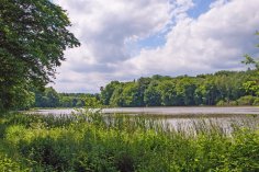 An den"Drei Teichen" See umgeben von grünen Bäumen, Gebiet "Drei Teiche" im Stadtwald