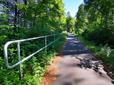 Bahntrassen-Radweg von Hungen nach Laubach unter Bäumen