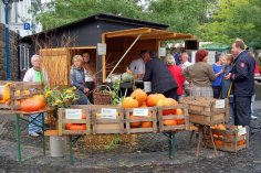 Kürbisstand am Schäfermarkt